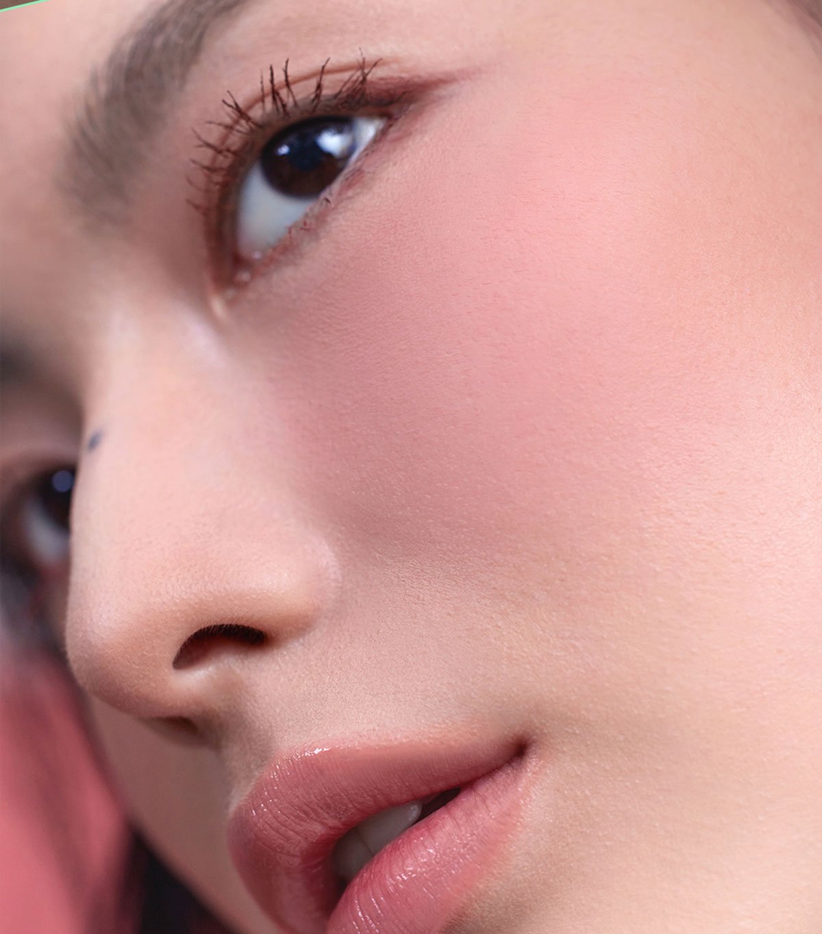 neutral undertone shades of 3CE Face Blush