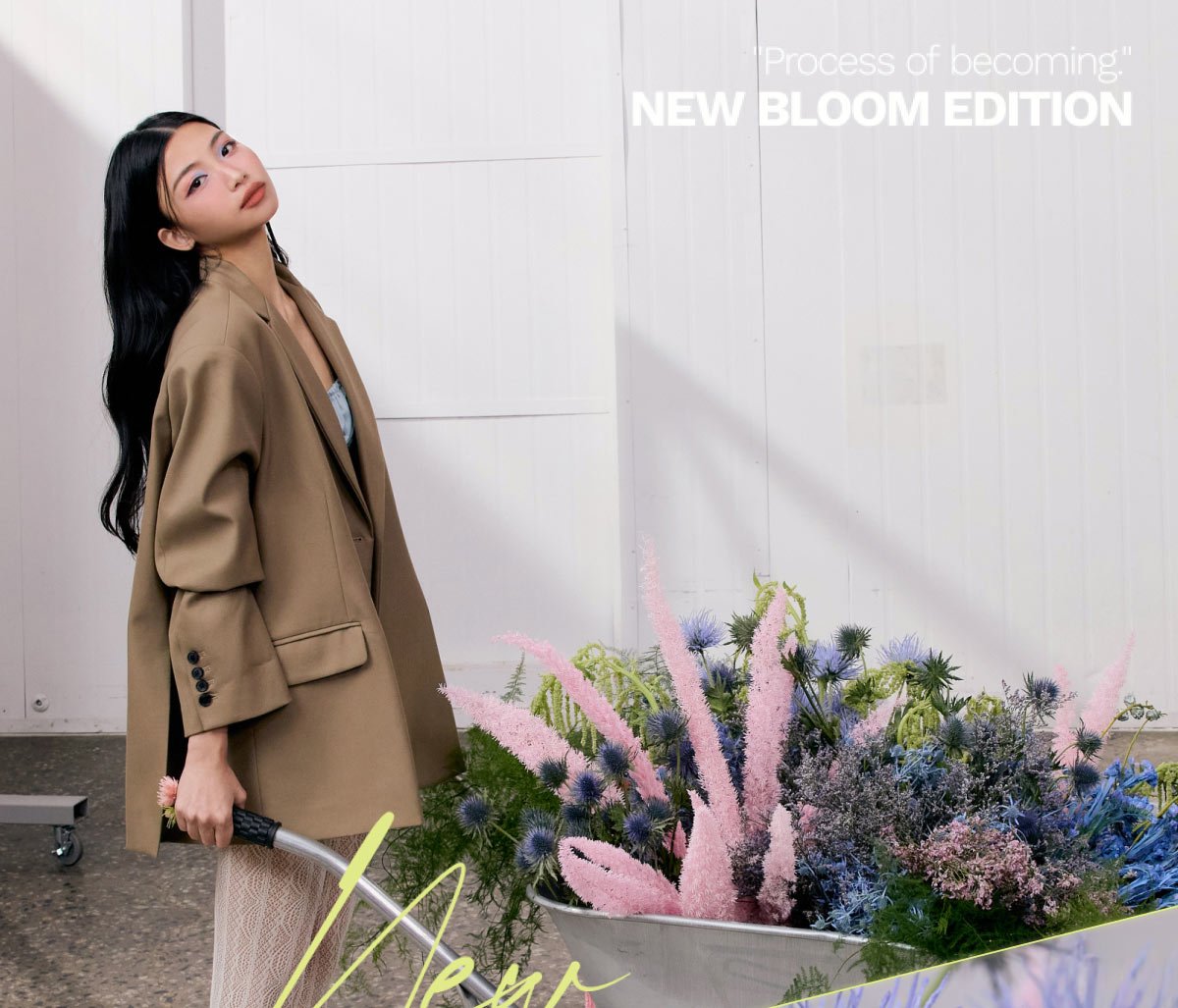 NEW BLOOM_01